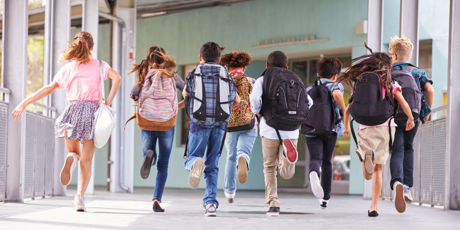 Attività didattica Istituto Regina Mundi — Reggello (FI)